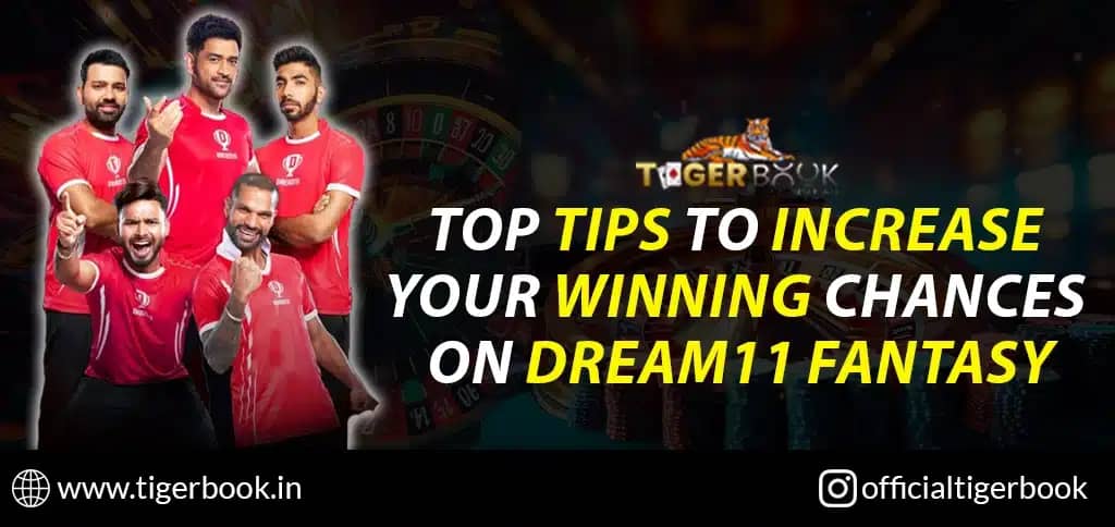 Dream11 Fantasy